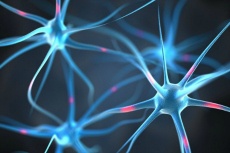 neuroplasticity-and-addiction-recovery