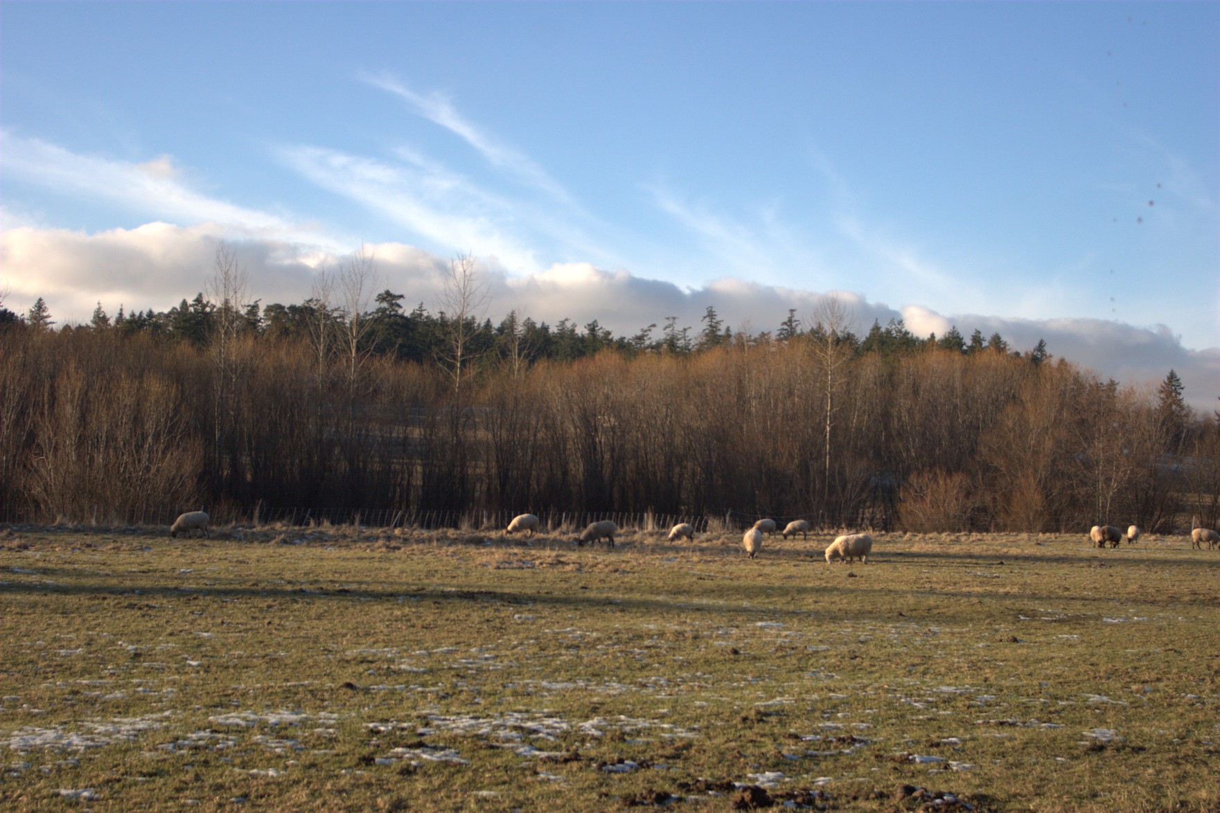 addiction recovery farms addiction recovery farms
