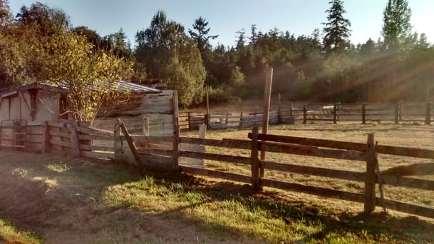 Residential-Rehab-Non-12-Step-The-Clearing-Farm