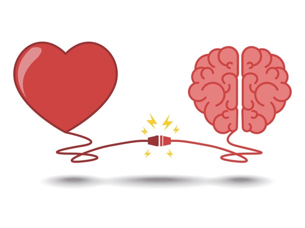 brain-and-heart-biology-of-belief